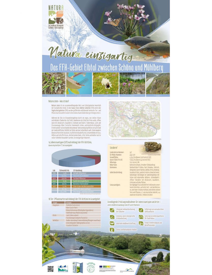 tl_files/downloads/Bilder Projekte/Projektstellen/Natura 2000 2.0/Rollups/Elbtal zwischen Schoena und Muehlberg.jpg